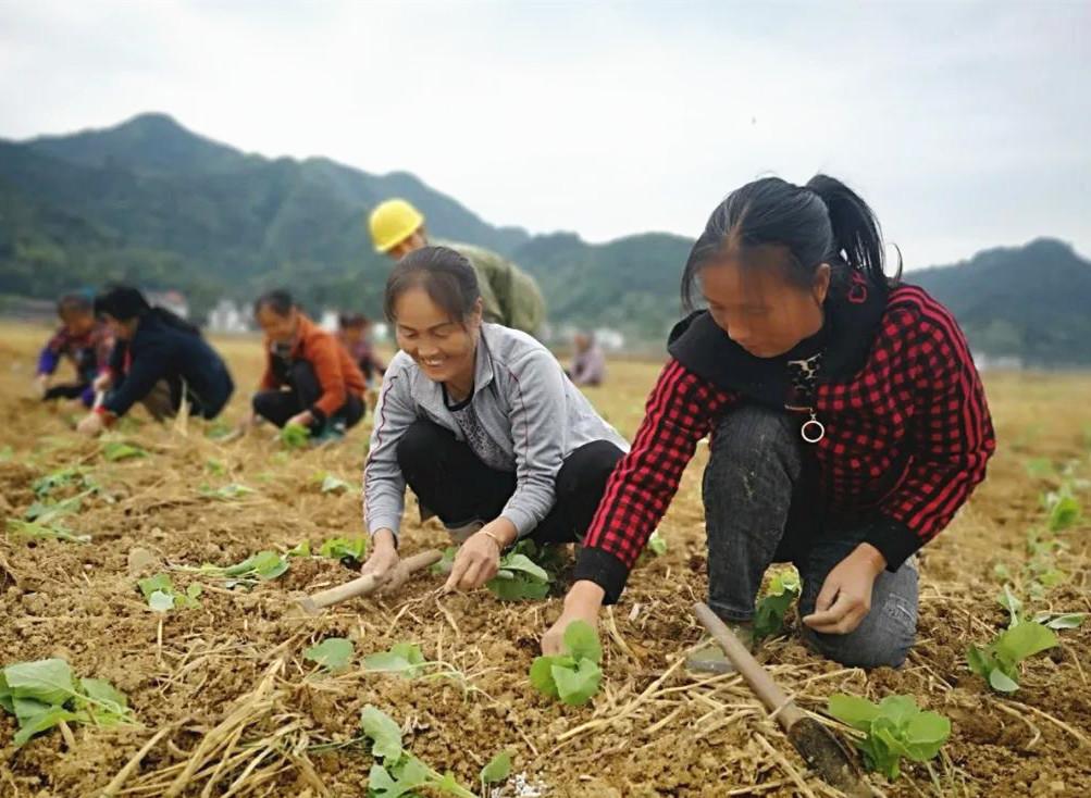 司前乡最新领导及其领导下的新篇章