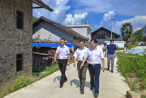 新阳村民委员会最新动态报道