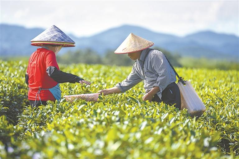 永丰经营所招聘启事，最新职位与职业机会详解