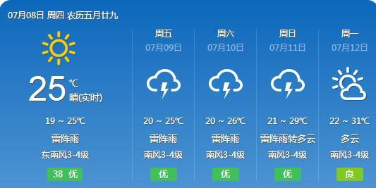 2025年1月5日 第31页