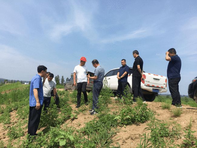 通化县水利局新项目启动，县域水利建设迎来新篇章